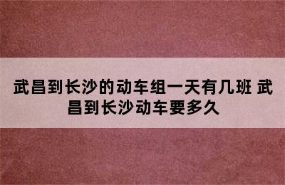 武昌到长沙的动车组一天有几班 武昌到长沙动车要多久